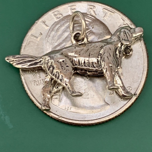 Irish Setter Dog Sterling Silver Jewelry Charm #dog #pet - Picture 4 of 4